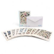 Set PÁJAROS (10 tarjetas)