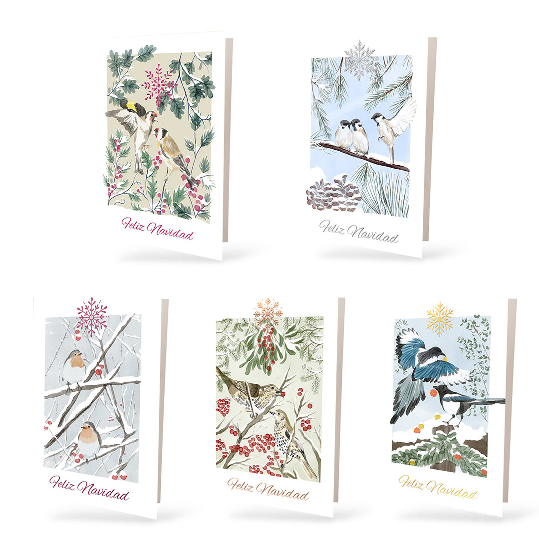 Set PÁJAROS (10 tarjetas)